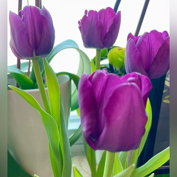 Meet your Posher ⭐️ - Picture 3 of 13